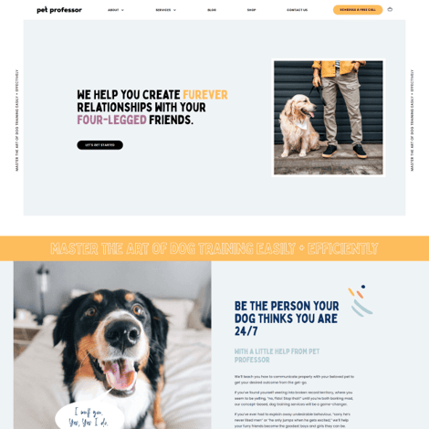 Pet Professor Website Screenshot