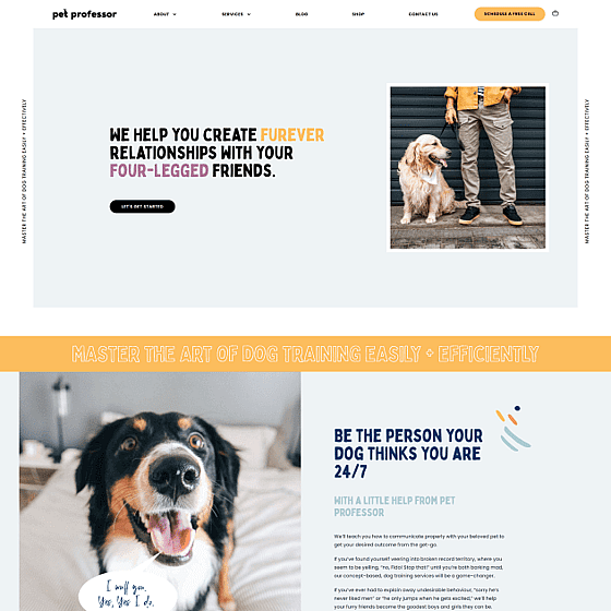Pet Professor website