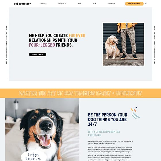 Pet Professor website