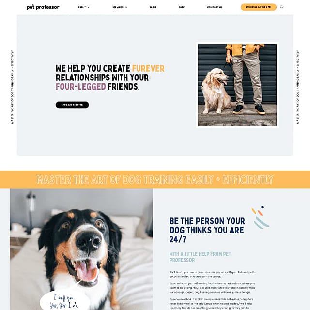 Pet Professor website