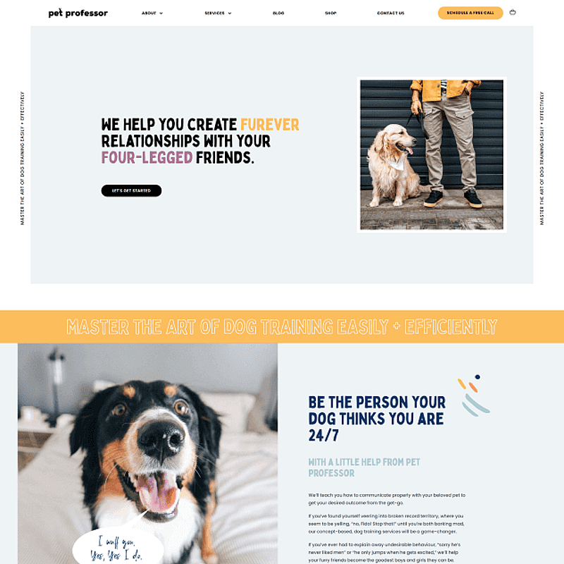 Pet Professor Website Screenshot